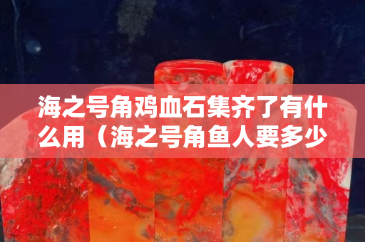 海之号角鸡血石集齐了有什么用（海之号角鱼人要多少鸡血石）