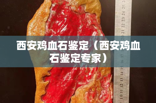 西安鸡血石鉴定（西安鸡血石鉴定专家）