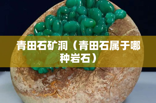 青田石矿洞（青田石属于哪种岩石）