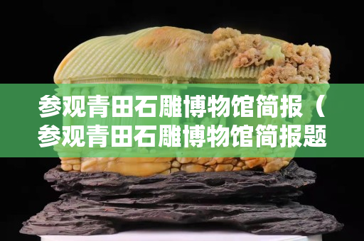 参观青田石雕博物馆简报（参观青田石雕博物馆简报题目）