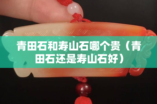 青田石和寿山石哪个贵（青田石还是寿山石好）