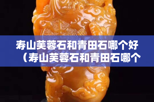 寿山芙蓉石和青田石哪个好（寿山芙蓉石和青田石哪个好一点）