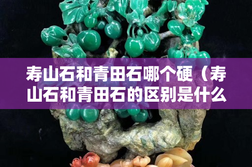 寿山石和青田石哪个硬（寿山石和青田石的区别是什么？）