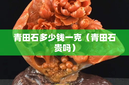青田石多少钱一克（青田石贵吗）