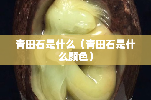 青田石是什么（青田石是什么颜色）