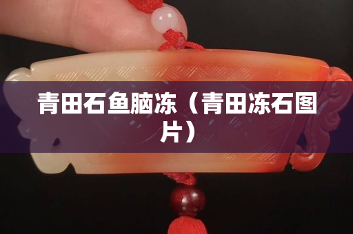 青田石鱼脑冻（青田冻石图片）