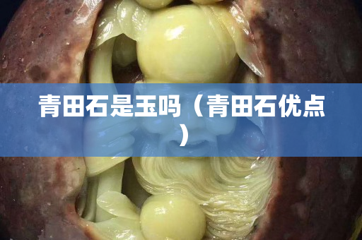 青田石是玉吗（青田石优点）