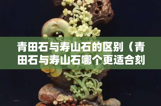 青田石与寿山石的区别（青田石与寿山石哪个更适合刻印章）