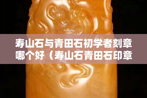 寿山石与青田石初学者刻章哪个好（寿山石青田石印章区别）