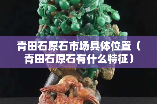 青田石原石市场具体位置（青田石原石有什么特征）