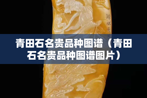 青田石名贵品种图谱（青田石名贵品种图谱图片）