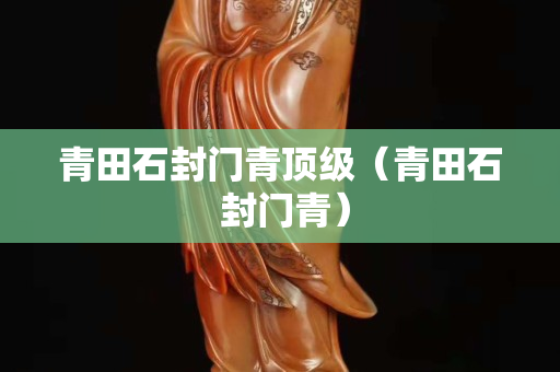 青田石封门青顶级（青田石 封门青）
