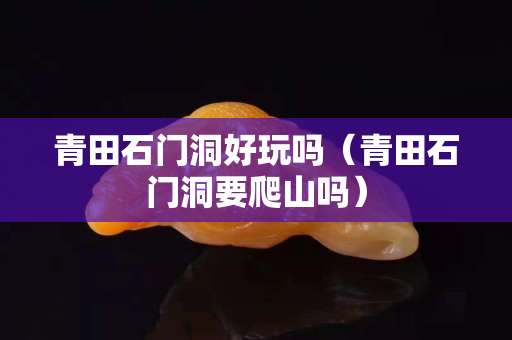 青田石门洞好玩吗（青田石门洞要爬山吗）