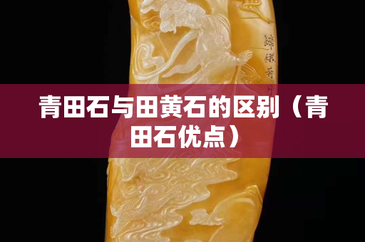 青田石与田黄石的区别（青田石优点）