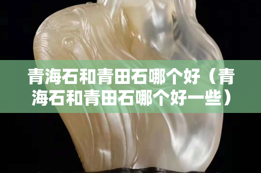 青海石和青田石哪个好（青海石和青田石哪个好一些）