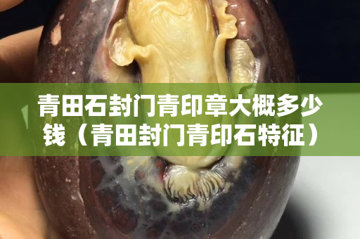 青田石封门青印章大概多少钱（青田封门青印石特征）