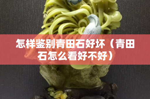 怎样鉴别青田石好坏（青田石怎么看好不好）