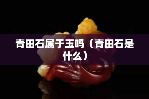 青田石属于玉吗（青田石是什么）