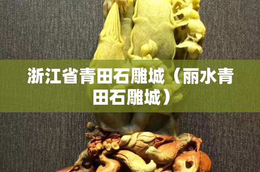 浙江省青田石雕城（丽水青田石雕城）