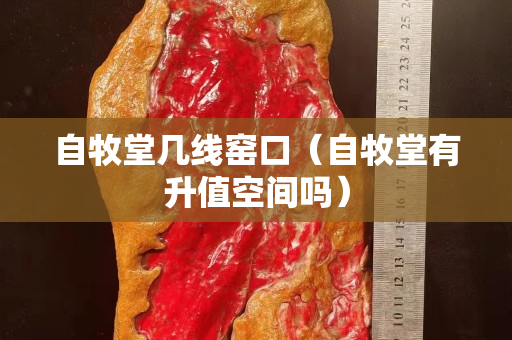 自牧堂几线窑口（自牧堂有升值空间吗）