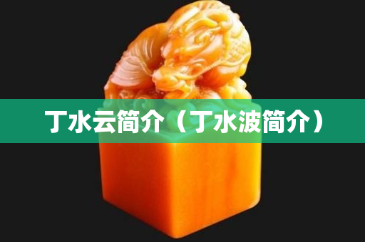 丁水云简介（丁水波简介）