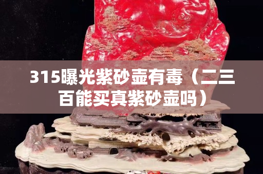 315曝光紫砂壶有毒（二三百能买真紫砂壶吗）