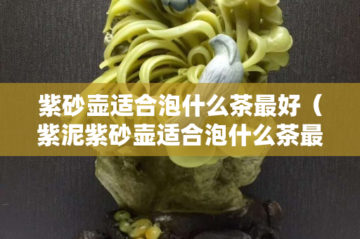 紫砂壶适合泡什么茶最好（紫泥紫砂壶适合泡什么茶最好）