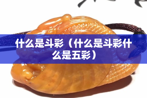 什么是斗彩（什么是斗彩什么是五彩）
