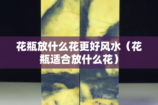 花瓶放什么花更好风水（花瓶适合放什么花）
