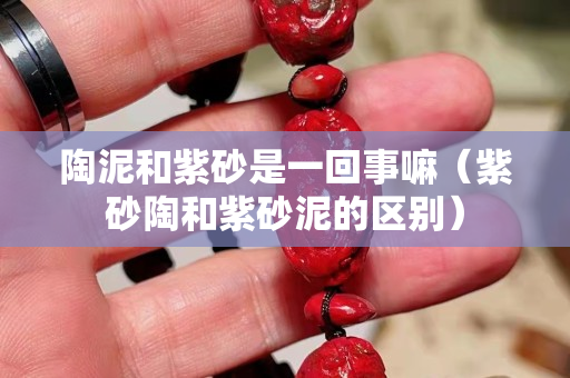 陶泥和紫砂是一回事嘛（紫砂陶和紫砂泥的区别）