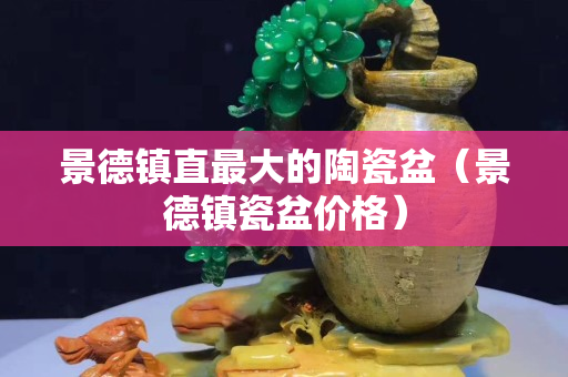 景德镇直最大的陶瓷盆（景德镇瓷盆价格）