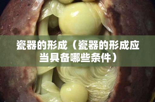 瓷器的形成（瓷器的形成应当具备哪些条件）