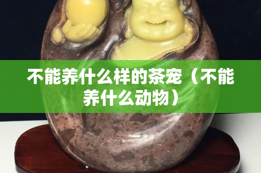 不能养什么样的茶宠（不能养什么动物）
