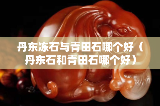 丹东冻石与青田石哪个好（丹东石和青田石哪个好）