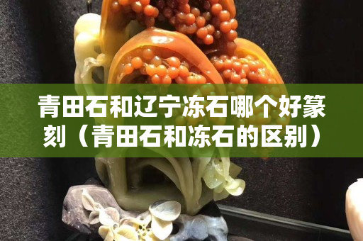 青田石和辽宁冻石哪个好篆刻（青田石和冻石的区别）