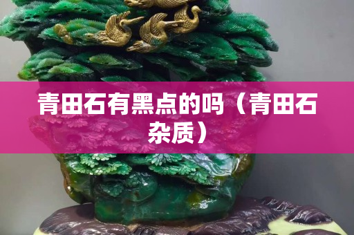 青田石有黑点的吗（青田石杂质）