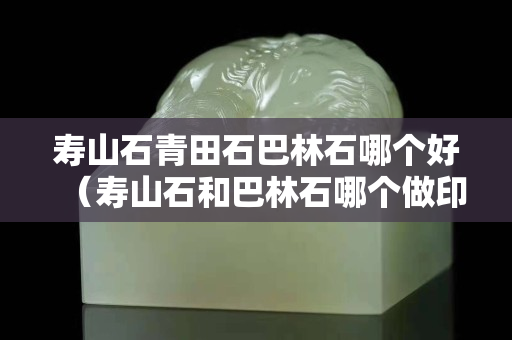 寿山石青田石巴林石哪个好（寿山石和巴林石哪个做印章）