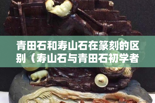 青田石和寿山石在篆刻的区别（寿山石与青田石初学者刻章哪个好）