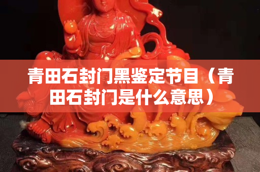 青田石封门黑鉴定节目（青田石封门是什么意思）