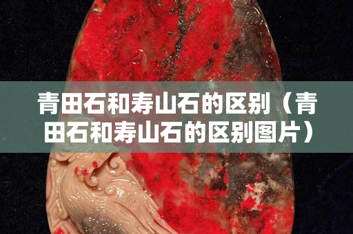 青田石和寿山石的区别（青田石和寿山石的区别图片）