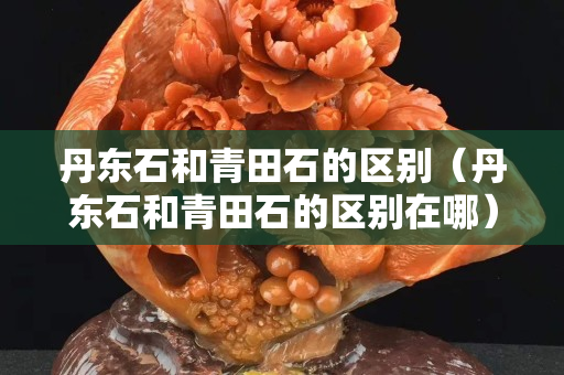 丹东石和青田石的区别（丹东石和青田石的区别在哪）