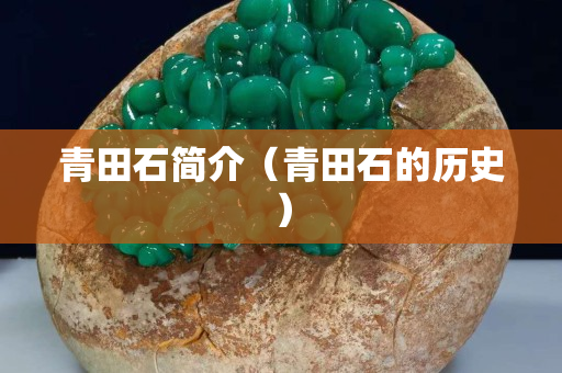 青田石简介（青田石的历史）