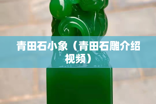 青田石小象（青田石雕介绍视频）