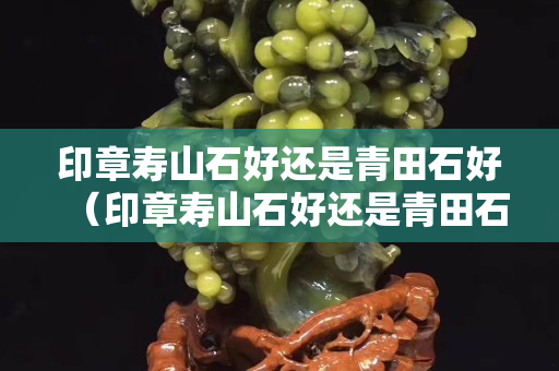 印章寿山石好还是青田石好（印章寿山石好还是青田石好一点）