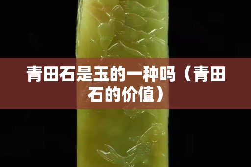 青田石是玉的一种吗（青田石的价值）