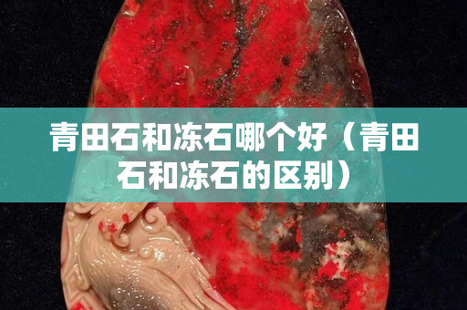 青田石和冻石哪个好（青田石和冻石的区别）