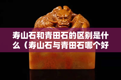 寿山石和青田石的区别是什么（寿山石与青田石哪个好）