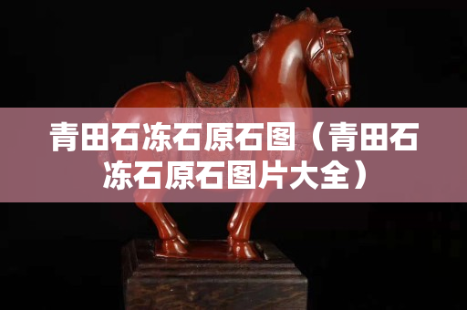 青田石冻石原石图（青田石冻石原石图片大全）