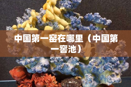 中国第一窑在哪里（中国第一窖池）