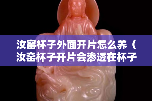 汝窑杯子外面开片怎么养（汝窑杯子开片会渗透在杯子外面吗）